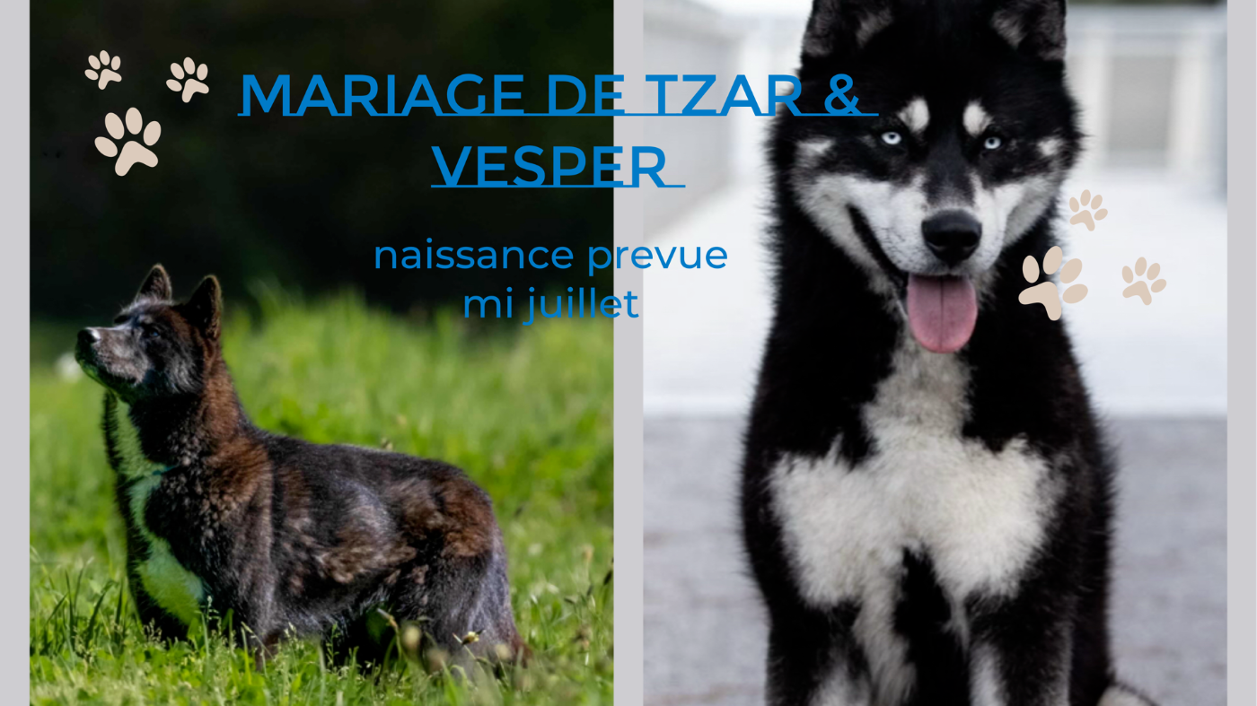 NAISSANCES MAGNIFIQUES PREVUES MI JUILLET