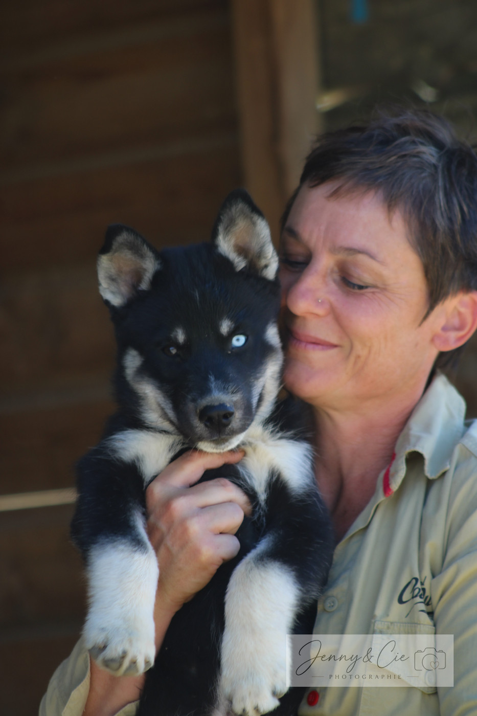 Magnifiques chiots disponibles LOF